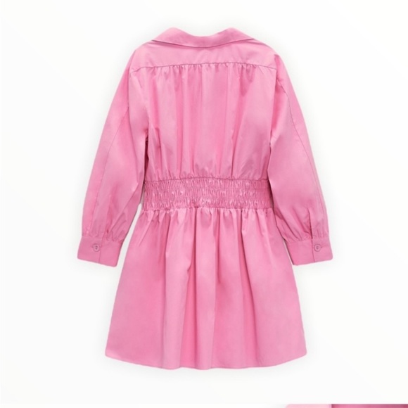 Zara collard v neck pink mini dress — smocked waist long sleeves skater dress - Picture 10 of 15